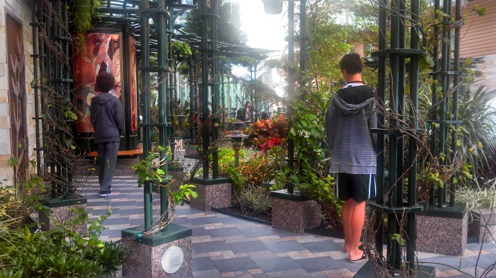 IMG_20121231_114602_990