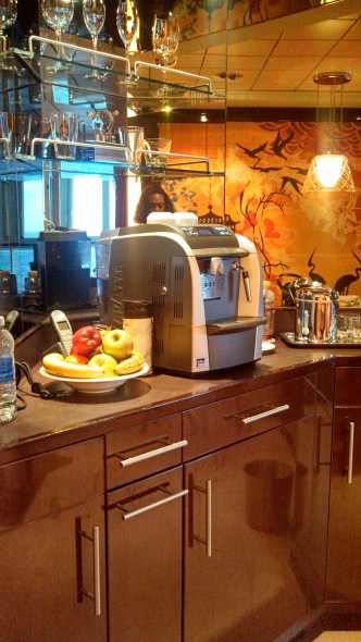 IMG_20140102_152219_130